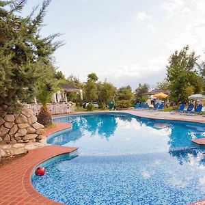 vassilias beach hotel